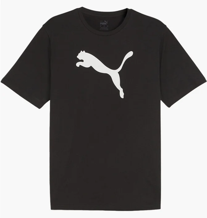 Футболка мужская Puma Teamrise Logo Jersey Cotton Black 658705-03