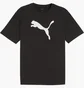 Футболка мужская Puma Teamrise Logo Jersey Cotton Black 658705-03