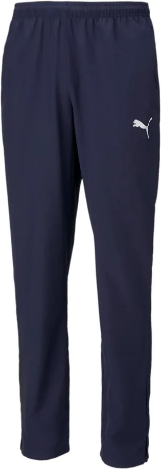 Штаны мужские Puma Teamrise Sideline Pants Blue 657327-06