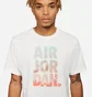 Футболка чоловіча Air Jordan Jumpman Classics Graphic Tee White DC9354-100