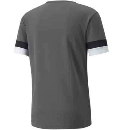 Футболка мужская Puma Teamrise Jersey Green 704932-13