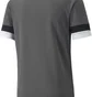 Футболка мужская Puma Teamrise Jersey Green 704932-13