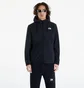 Толстовка мужская The North Face Homesafe Fz Fl Hoodie Black NF0A855JKX7