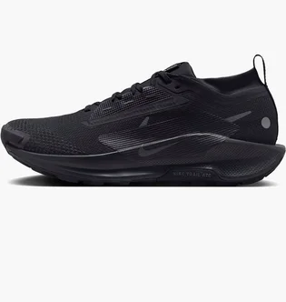 Кроссовки мужские Nike Pegasus Trail 5 Gore-Tex Black FQ0908-002
