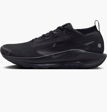 Кроссовки мужские Nike Pegasus Trail 5 Gore-Tex Black FQ0908-002