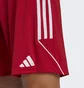 Шорти чоловічі Adidas Tiro 23 League Shorts Red Ib8082