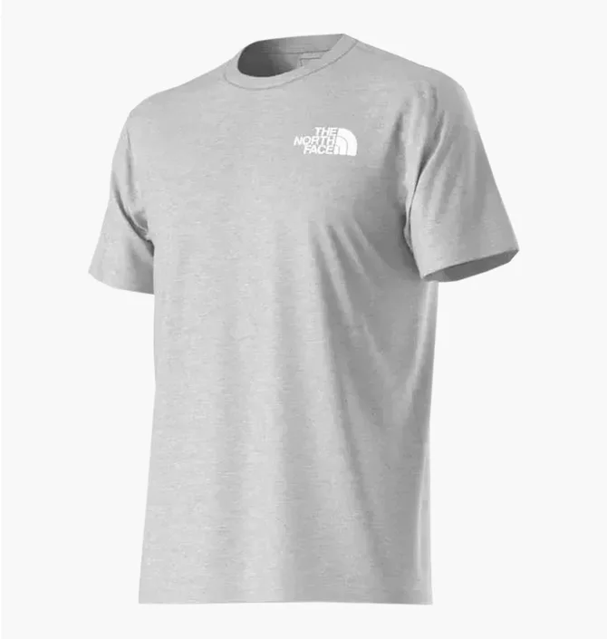 Футболка мужская The North Face Evolution Box Nse Grey NF0A8B6KCQI1