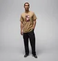 Футболка мужская Air Jordan Brand Photo Ss Crew Brown HJ2354-257