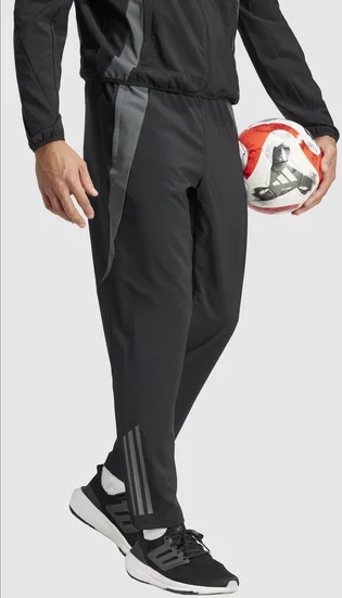 Штаны мужские Adidas Tiro24 Cprepnt Black IP5595