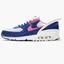 Кроссовки унисекс Nike Air Max 90 Flyease Multicolor CU0814-101