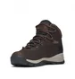 Ботинки женские Columbia Newton Ridge Plus Brown 1424692231