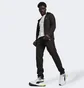 Штаны мужские Puma Evostripe Black 678997-01