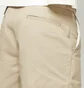 Шорти чоловічі Dickies 13 Inch Multi Pocket Beige DK0A4XOZKHK1