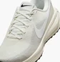 Кросівки жіночі Nike Revolution 8 Beige HJ8485-103