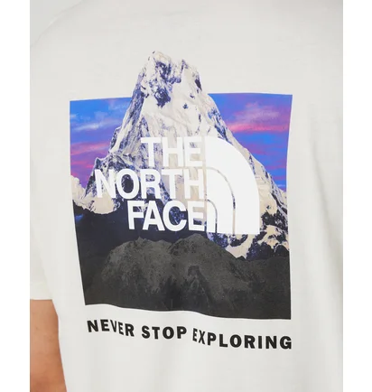 Футболка мужская The North Face Short-Sleeve Box Beige NF0A812HOFM