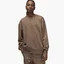 Світшот чоловічий Air Jordan Brooklyn Fleece Brown Dq7520-274