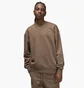 Світшот чоловічий Air Jordan Brooklyn Fleece Brown Dq7520-274