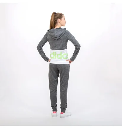 Спортивный костюм женский Adidas Wts Lin Ft Hood W Grey GD4415