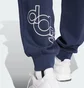 Штаны мужские Adidas Fleece Grafity Print Blue IS2012