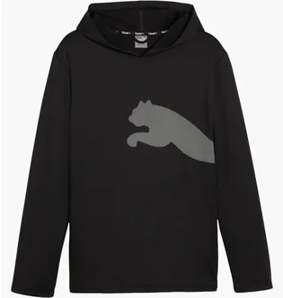 ᐉ Худи мужское Puma Train All Day Big Cat Training Hoodie Black