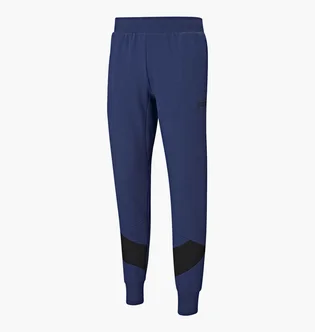 Штани чоловічі Puma Rebel Pants Blue 585753-12