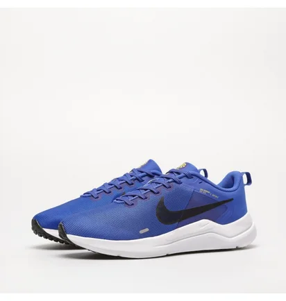 Кросівки чоловічі Nike Downshifter 12 Blue DD9293-402