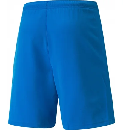 Футболка мужская Puma Shorts Teamrise Short Blue 704942-02