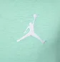 Футболка мужская Air Jordan Jumpman Emb Ss Crew Turquoise DC7485-349