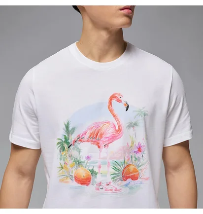 Футболка мужская Air Jordan Ess Flamingo Ss Crew White HJ2399-100