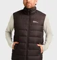 Жилетка чоловіча Jack Wolfskin Ather Down Brown 1207691D-0108