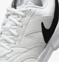 Кроссовки мужские Nike Court Lite 4 White FD6574-100