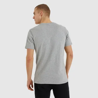 Футболка мужская Ellesse Canaletto Tee Grey SHS04548-112