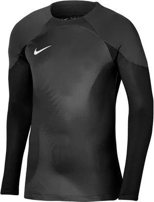Лонгслив мужской Nike Long-Sleeve Jersey Dri-Fit Adv Gardien 4 Goalkeeper Ls Black DH7967-060
