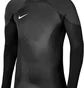 Лонгслів чоловічий Nike Long-Sleeve Jersey Dri-Fit Adv Gardien 4 Goalkeeper Ls Black DH7967-060