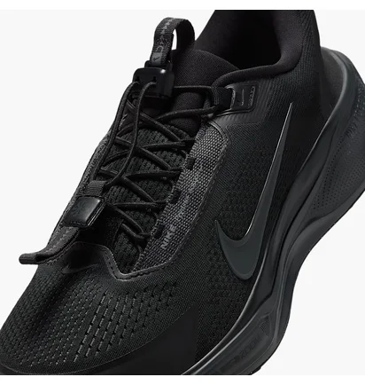 Кроссовки мужские Nike Pegasus Easyon Black FQ7837-001