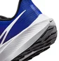 Кроссовки мужские Nike Air Zoom Pegasus 39 Blue Dh4071-400