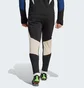 Штаны мужские Adidas Tiro 23 Competition Winterized Black IL7263
