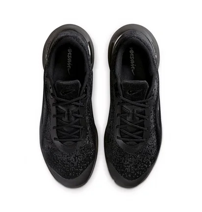Кроссовки женские Nike Versair Black DZ3547-002