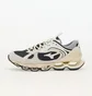 Кроссовки мужские Mizuno Wave Prophecy Β 2 Beige D1GA235009