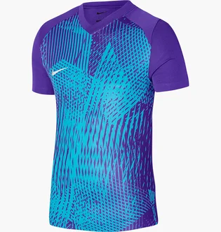 Футболка мужская Nike Jersey M Nk Df Prcsn Vi Jsy Ss Violet/Light Blue DR0944-547
