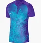 Футболка мужская Nike Jersey M Nk Df Prcsn Vi Jsy Ss Violet/Light Blue DR0944-547