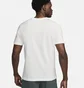 Футболка мужская Nike T-Shirt Do Fitnessu Dri-Fit White FV8360-133