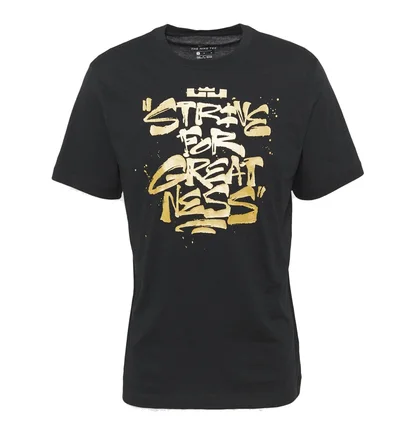 Футболка мужская Nike Lbj Ssnl Sfg Tee Black DD0785-011