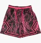 Шорты мужские Air Jordan Sport Diamond Dri-Fit Shorts Pink/Grey FN5804-010