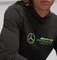 Худи мужское Puma Mercedes Amg Petronas Motorsport Black 623749-01