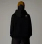 Худи мужское The North Face Drew Peak Black NF0A89EMJK3