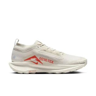 Кроссовки мужские Nike Pegasus Trail 5 Gore-Tex Beige FQ0908-100
