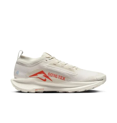 Кросівки чоловічі Nike Pegasus Trail 5 Gore-Tex Beige FQ0908-100