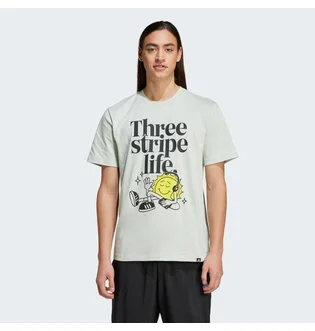 Футболка чоловіча Adidas Positivity Graphic Grey IY0731