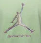 Футболка мужская Air Jordan Sport Green HQ7984-376